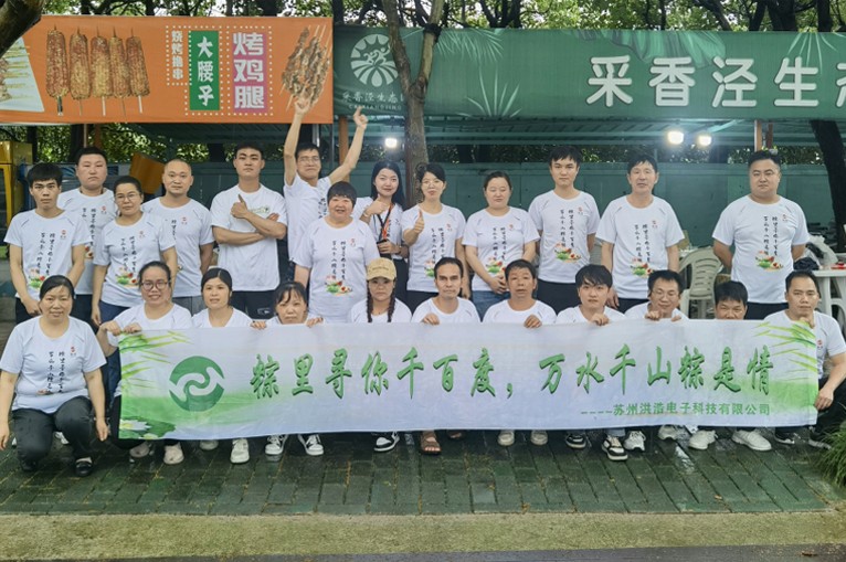粽里寻你千百度，万水千山粽是情